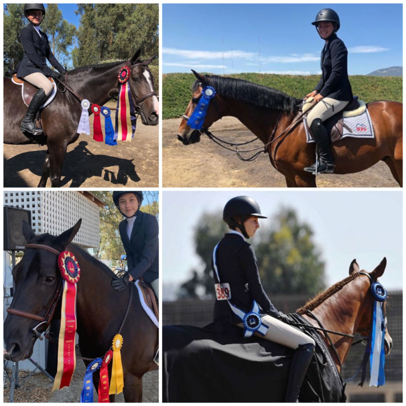 HMI Equestrian Classic Windy Hill Equestrian