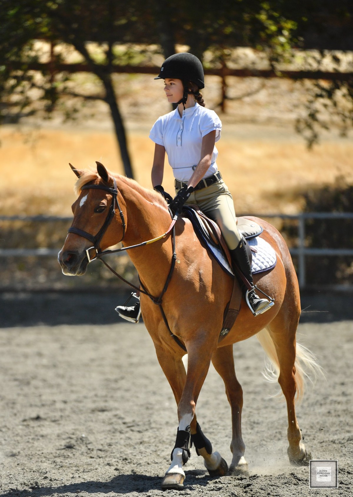 Windy Hill Mock Horse Show – Windy Hill Equestrian